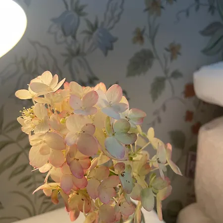 Cozy Older House In Scenic Surroundings 펜션 *