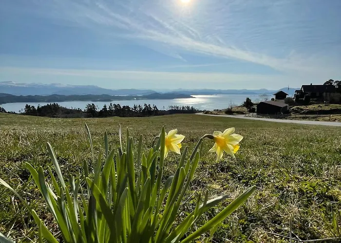 Cozy Older House In Scenic Surroundings Feriehus
