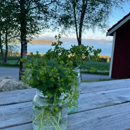 Cozy Older House In Scenic Surroundings Stord